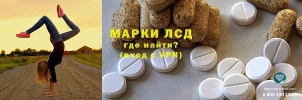 индика Кулебаки