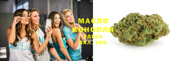 индика Кулебаки
