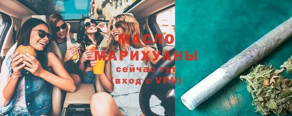 индика Кулебаки