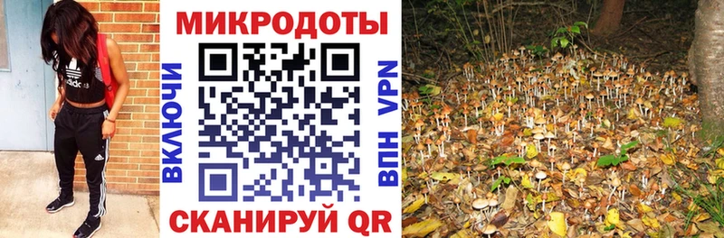 Галлюциногенные грибы Magic Shrooms Купить закладки Дмитриев